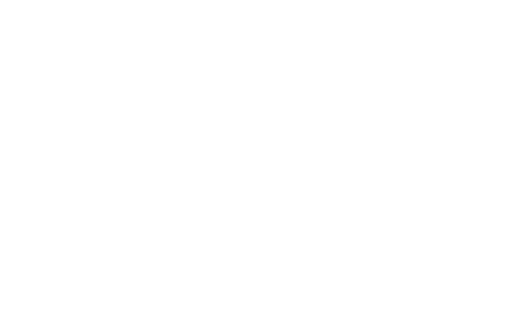 🐕 Shun´You Kensha | Selección, cría y venta de Akita y Shiba